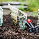 invested money grows in dirt